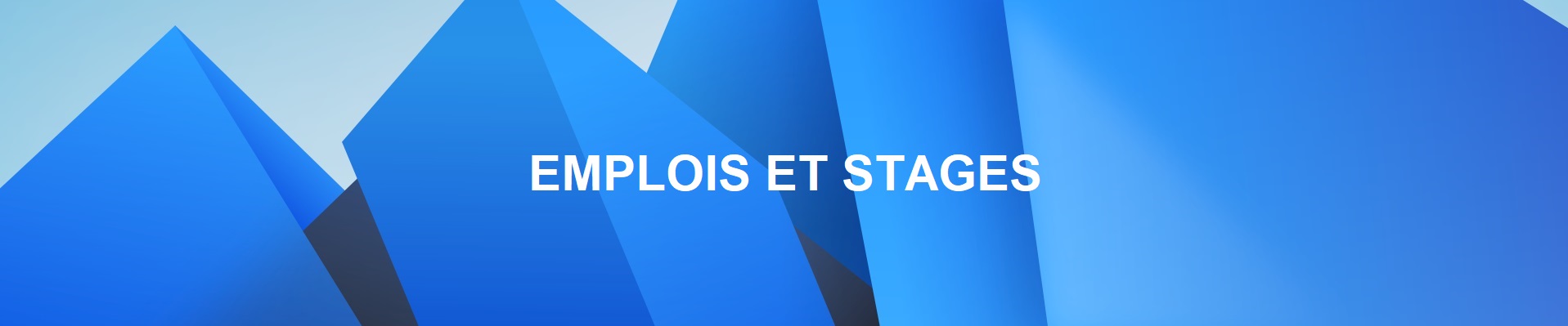 EMPLOIS & STAGES.jpg